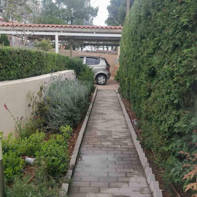 Takis & Machi House Daire Rafína Dış mekan fotoğraf
